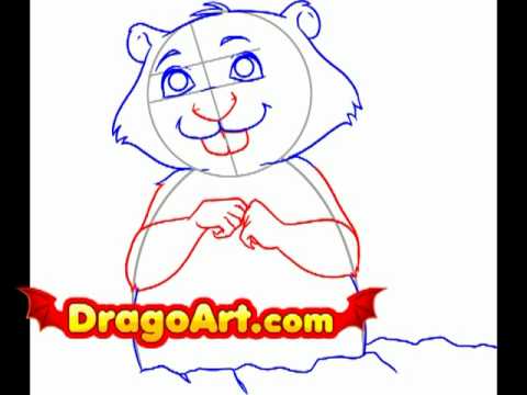 480x360 How To Draw A Groundhog, Step By Step