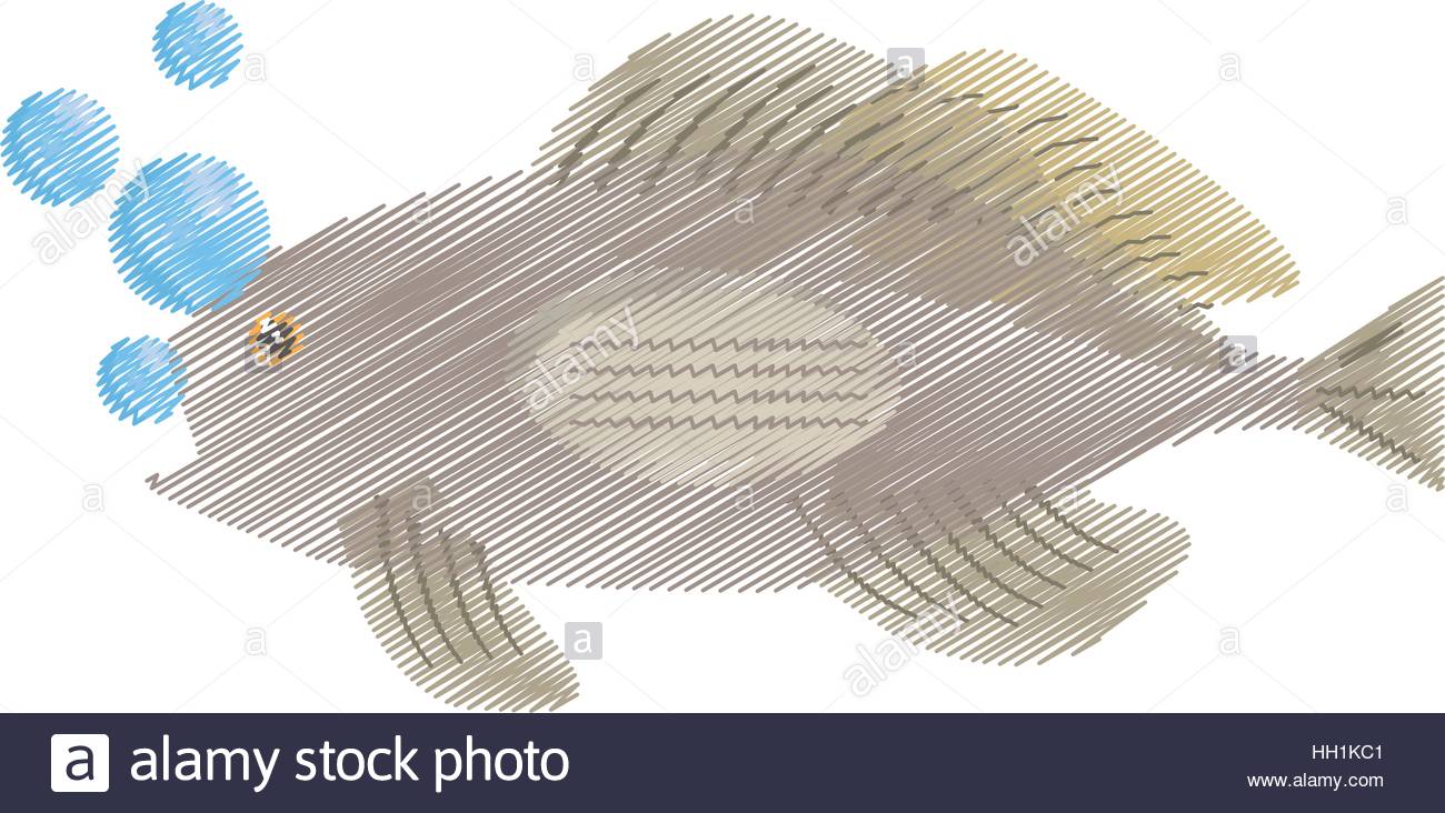 1300x732 Hand Drawing Grouper Fish Side View Sea Life Bubbles Stock Vector