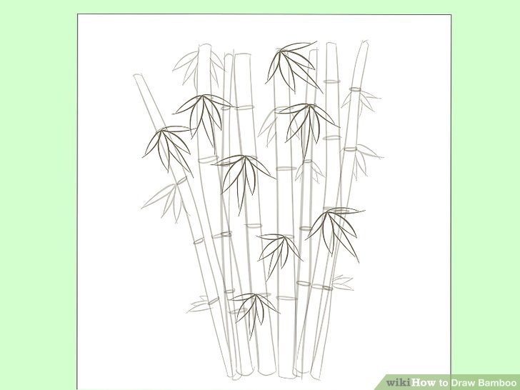 728x546 How To Draw Bamboo 8 Steps (With Pictures)