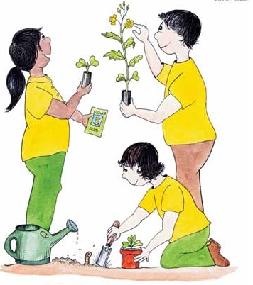 356x402 Primary Booklet 4