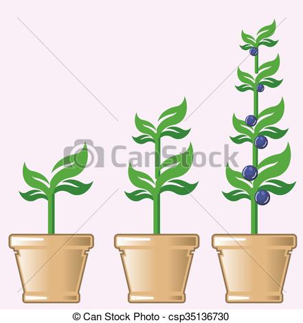 441x470 Young Growing Plant Vector In A Pot Vectors