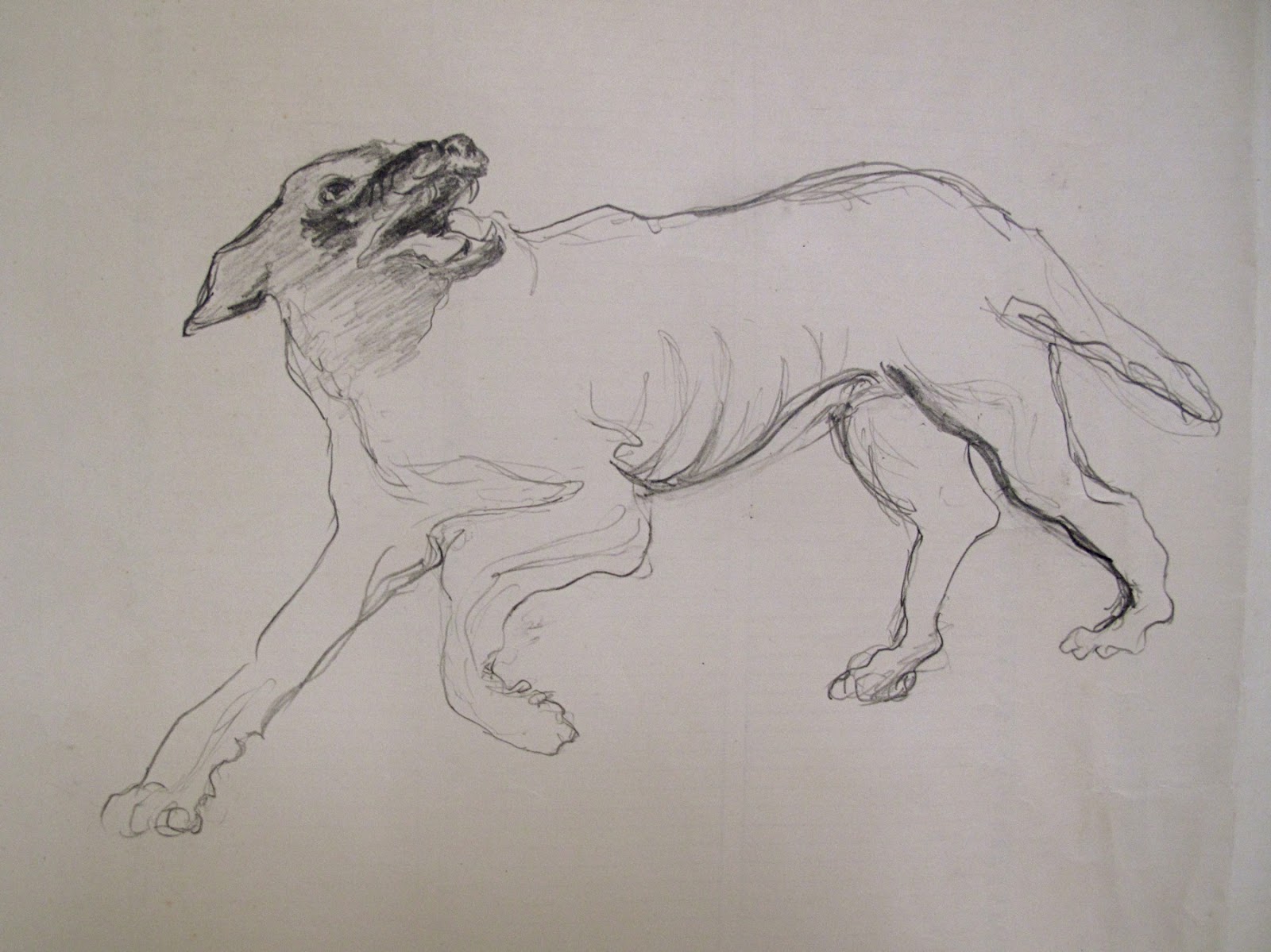 1600x1199 Little Bang Theories Art As Armor