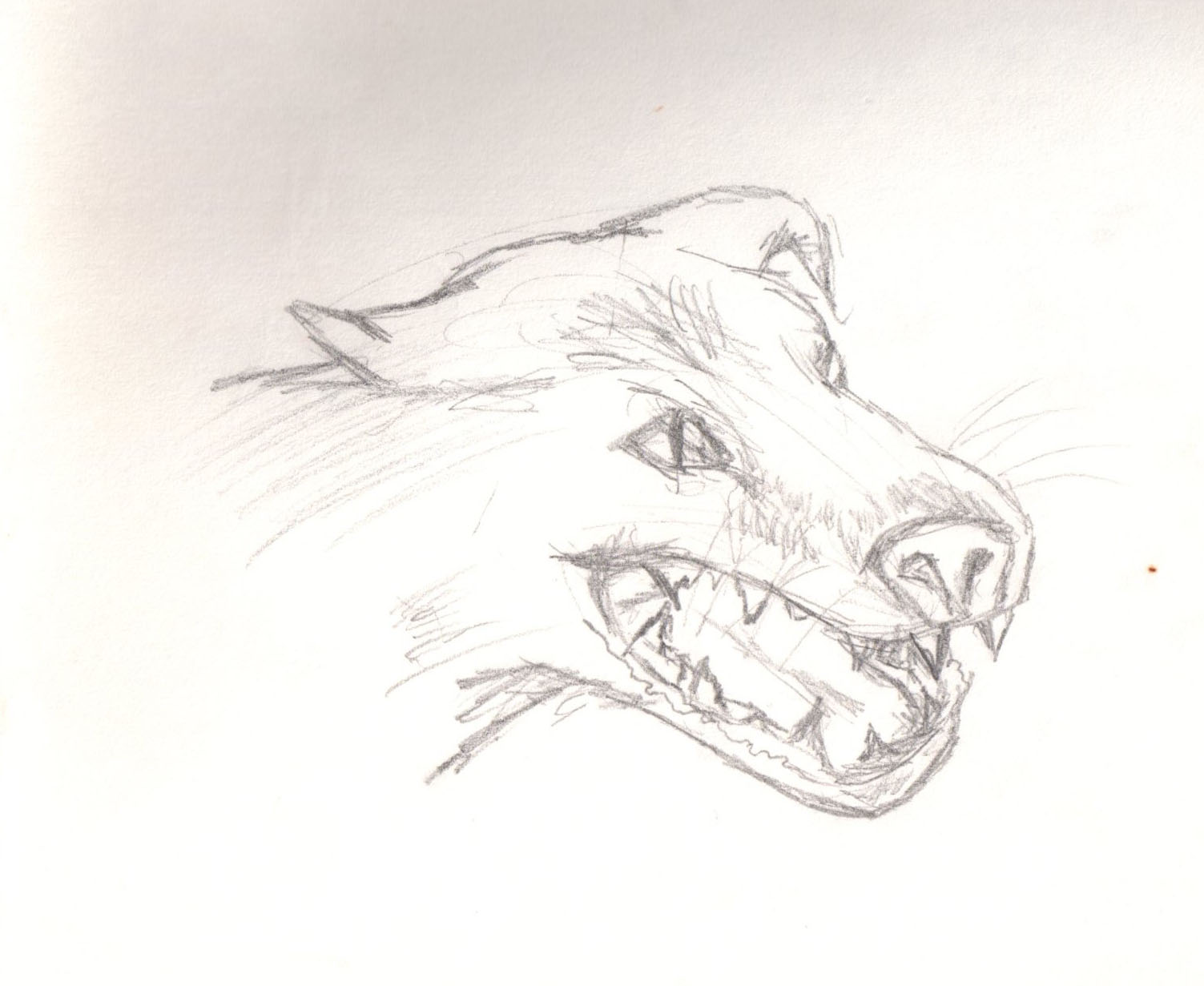 1503x1231 Andrew Art Dog Growl Rev Can You Believe That Guy!