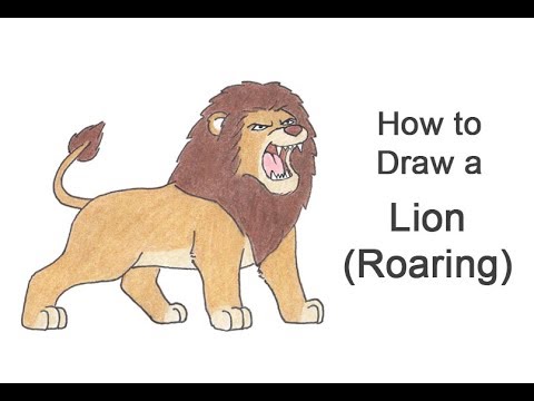480x360 How To Draw A Lion Roaring (Cartoon)