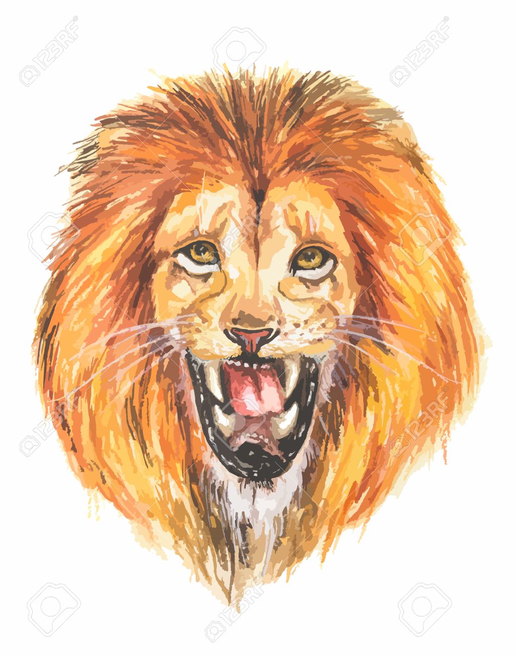 1025x1300 Watercolor Lion Roar. Big Fierce Lion Roaring. Hand Drawing