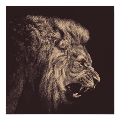 400x400 Lion Pencil Art Lion Roar Black And White Poster
