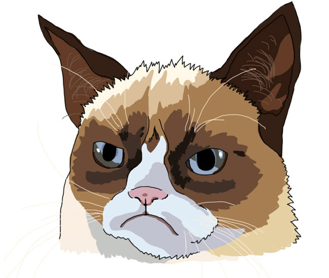 650x550 Drawing Tutorial Learn To Draw Grumpy Cat, Aka Tardar Sauce