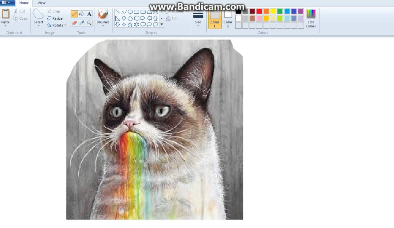 1264x732 How To Draw Grumpy Cat