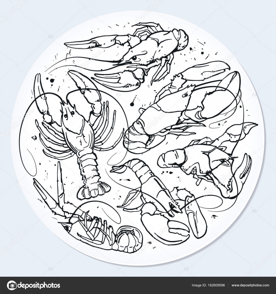 963x1024 Vector Beer Coaster With Hand Drawn Crayfish Set. Monochrome