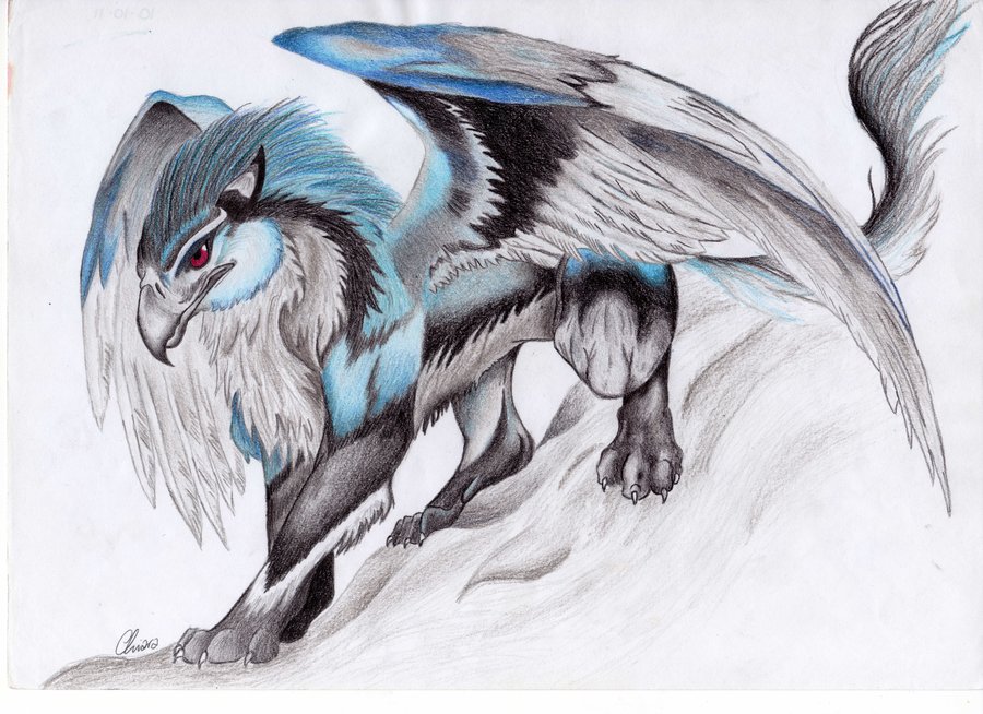 900x654 Gryphon By Palli92