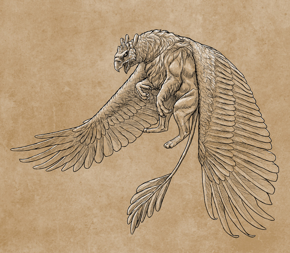 1000x874 How To Draw A Griffin