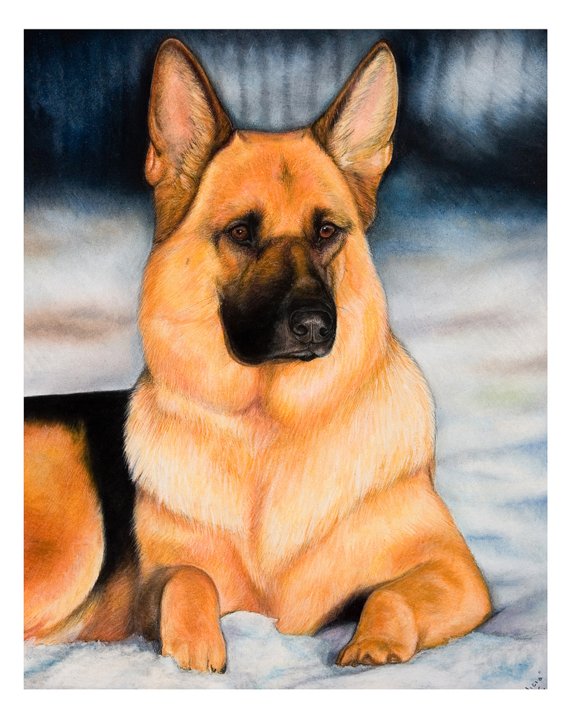 820x1024 The World's Best Photos Of Drawing And Gsd