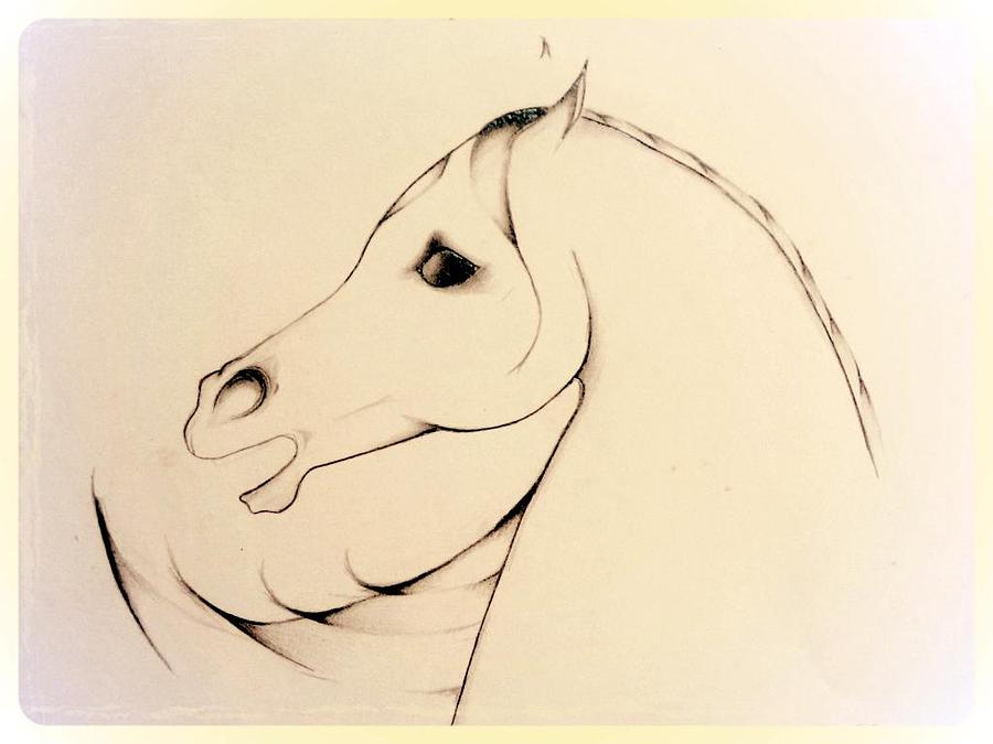 900x675 On Guard Drawing By Adelia Audi