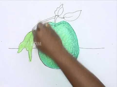 480x360 How To Draw A Guava