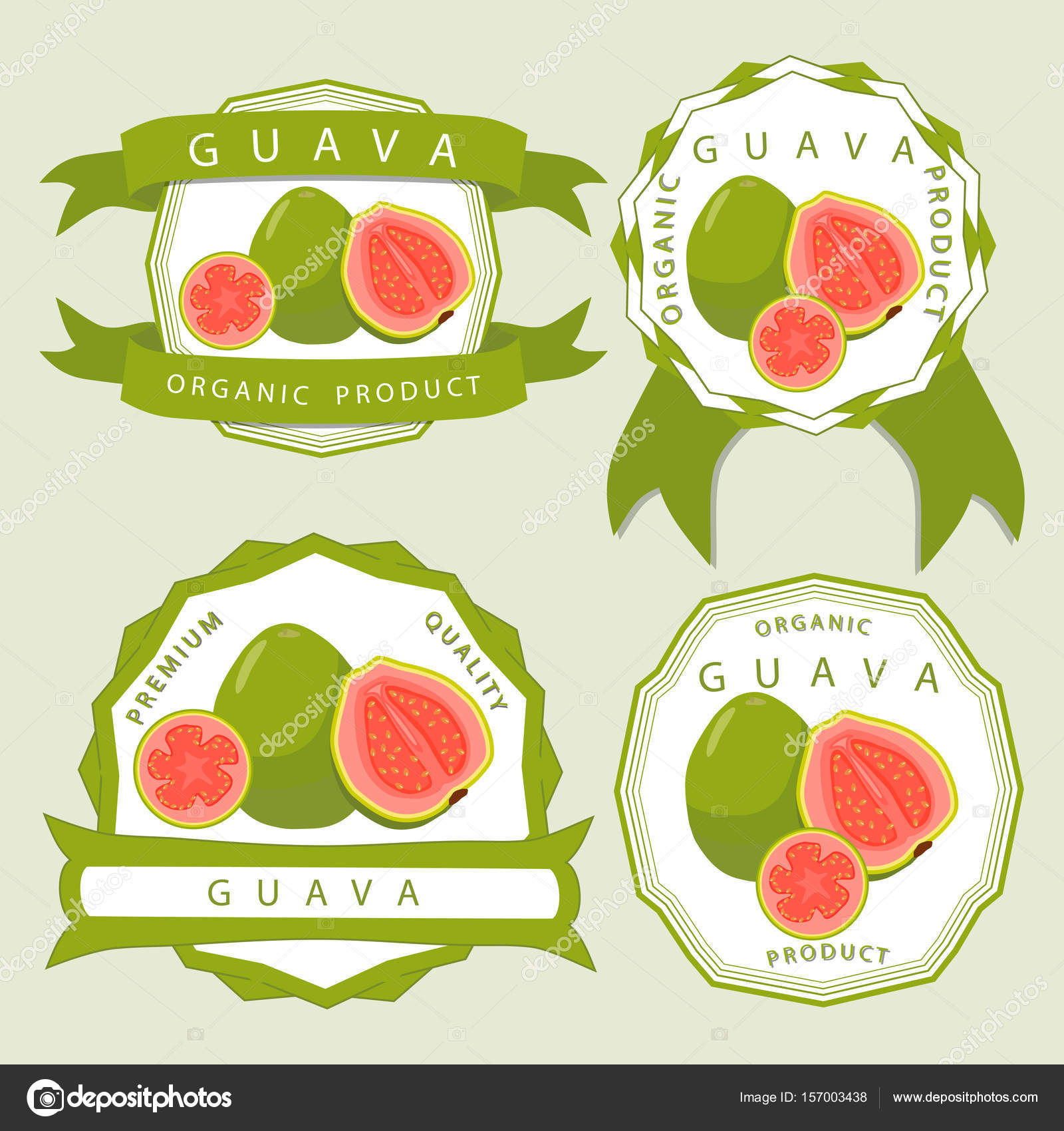 1600x1700 The Green Guava Stock Vector Oleg525