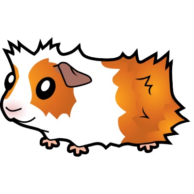 400x400 De Recherche D'Images Pour Guinea Pig Clipart