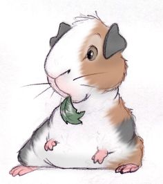 236x266 Guinea Pig Drawing