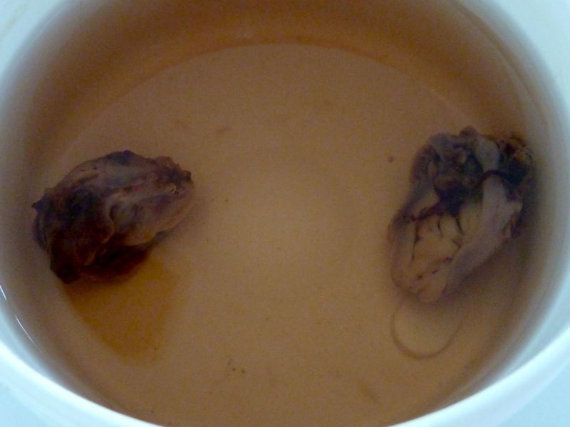 800x600 Tonsils, Horses And Wind Loslocos !!