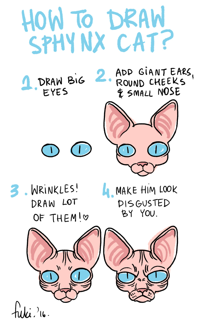 693x1084 How To Draw Sphynx Cat By Fukari