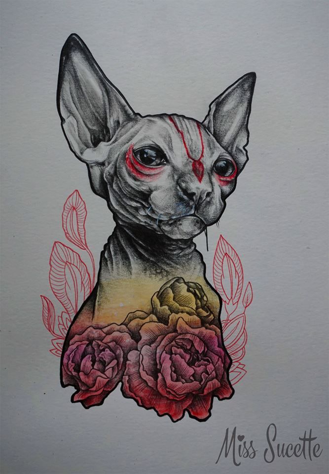 667x960 Sphynx Cat Illustration By Miss Sucette I D E
