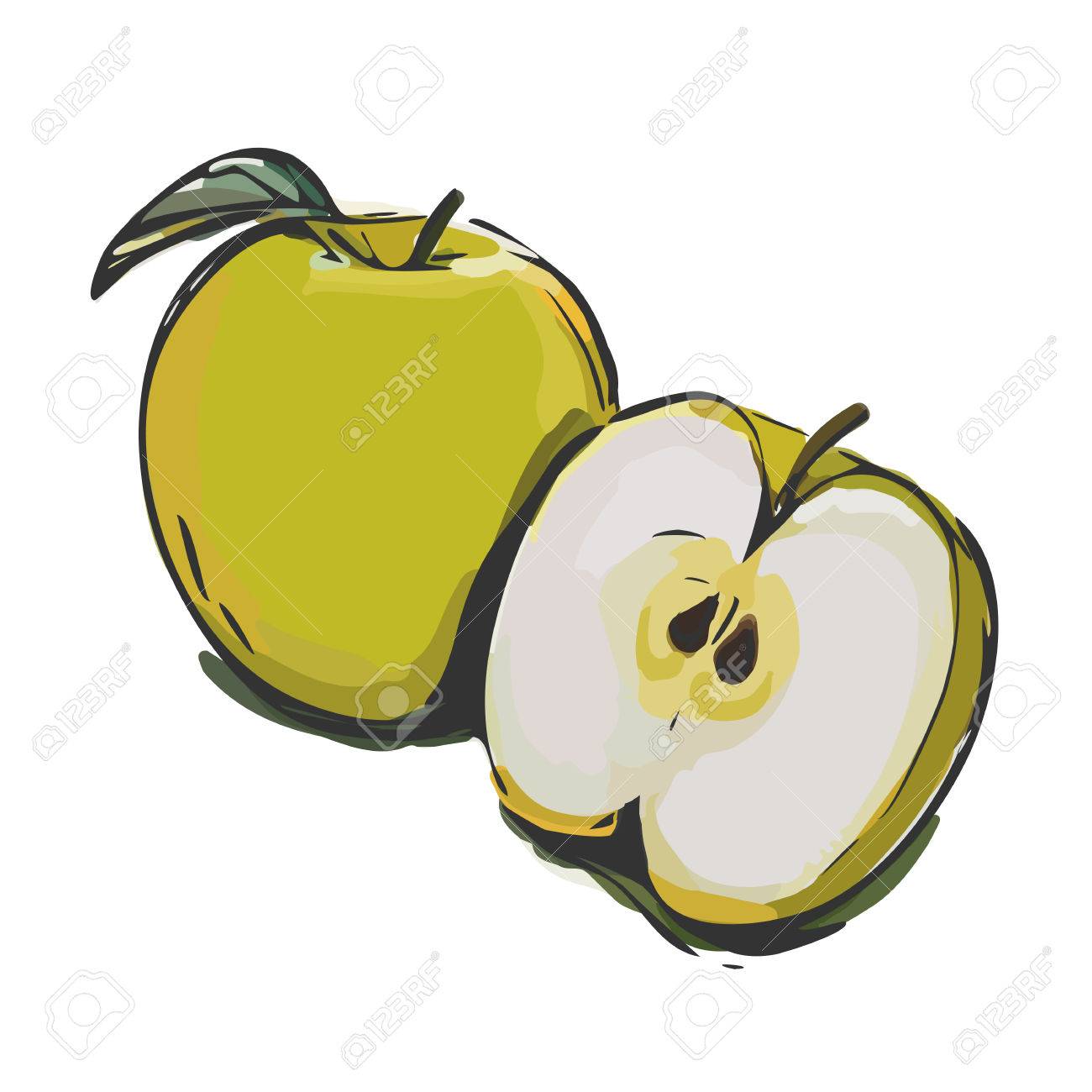 1300x1300 Whole Green Apple And Half Apple Freehand Drawing Royalty Free