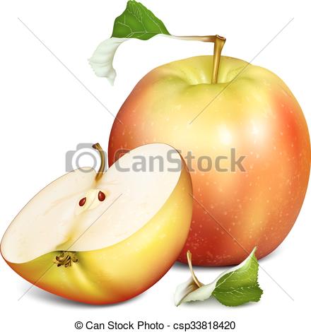 440x470 Whole Half Cut Apples. Whole Apple And Half Cut Apple . Vector
