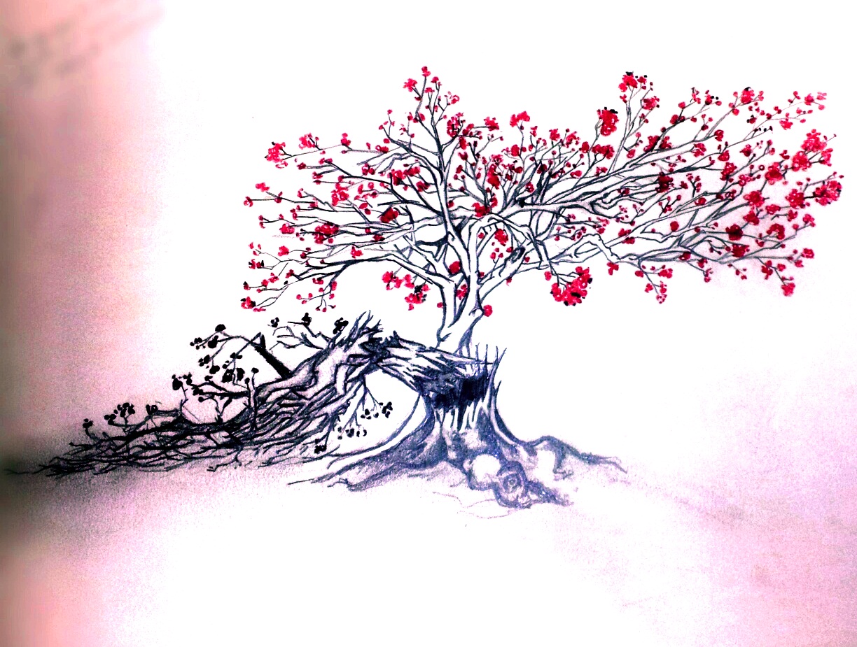 Half Dead Half Alive Tree Drawing at GetDrawings | Free download