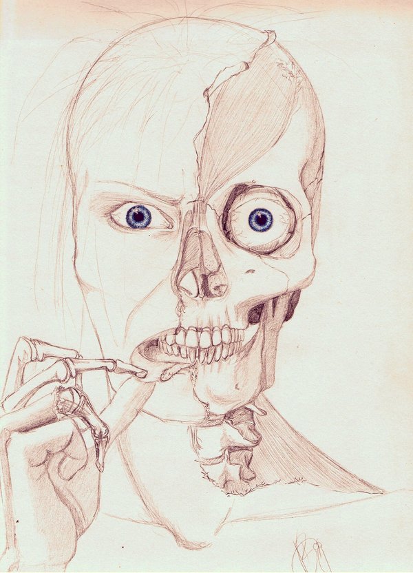 600x832 Half' Skull By Ombre1988