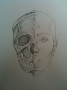 236x314 Half Skull Half Human Face