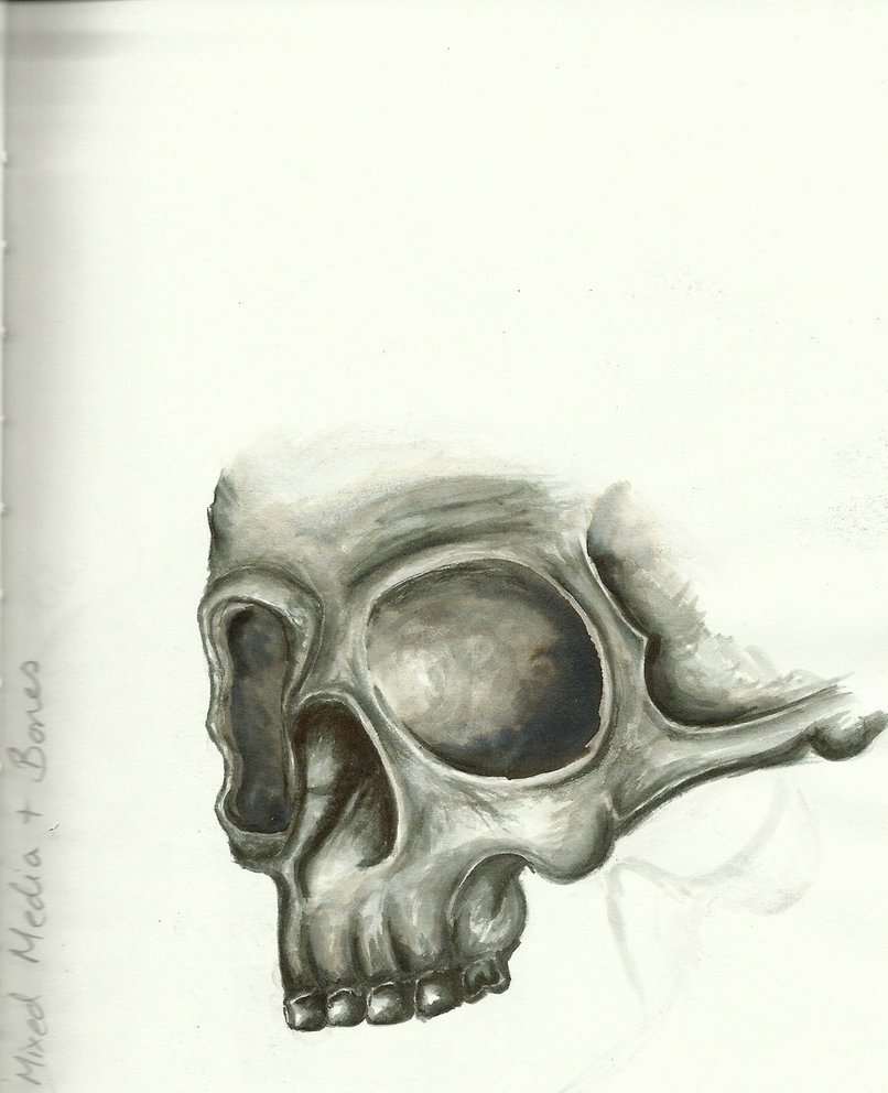 806x992 Blank Ink Top Half Of A Skull By Crystal2blue