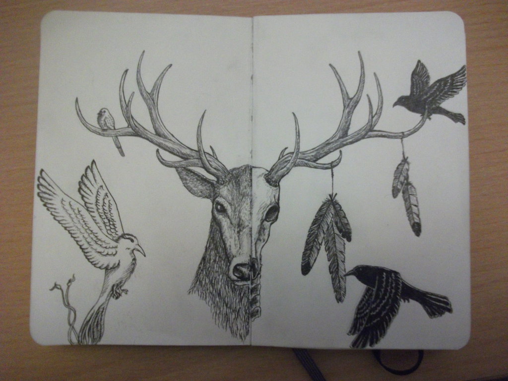 1024x768 Half Skull Deer By Patij212