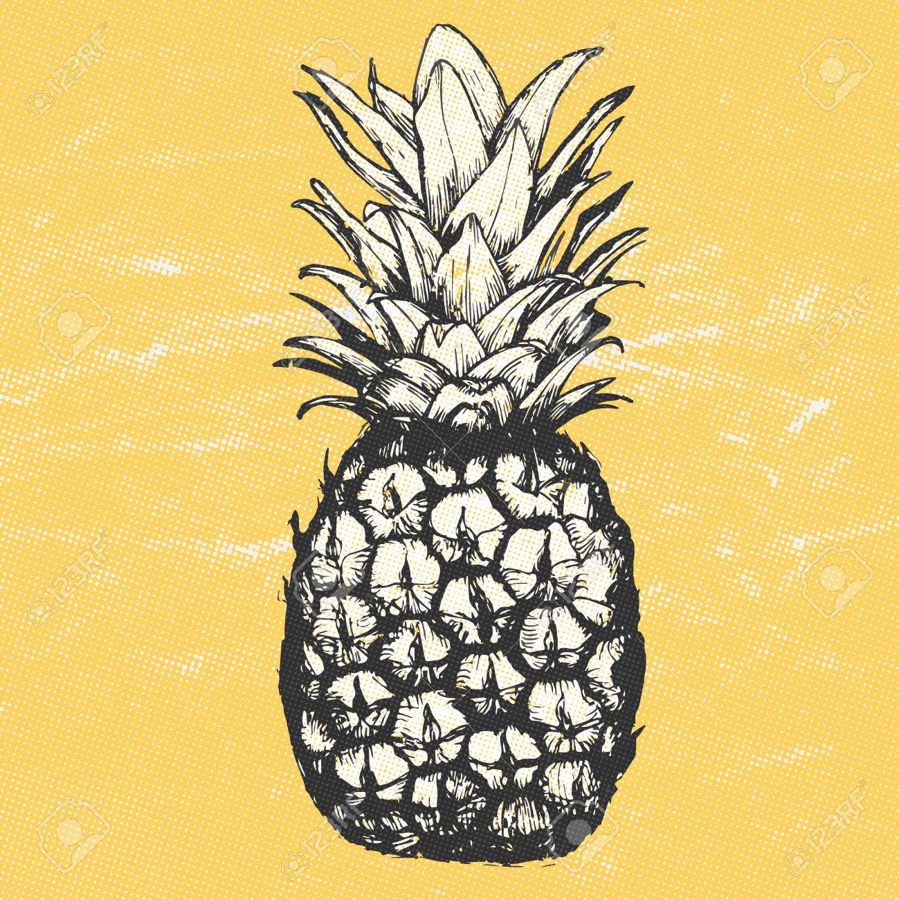 1299x1300 Vector Hand Drawn Pineapple With Halftone Texture Background