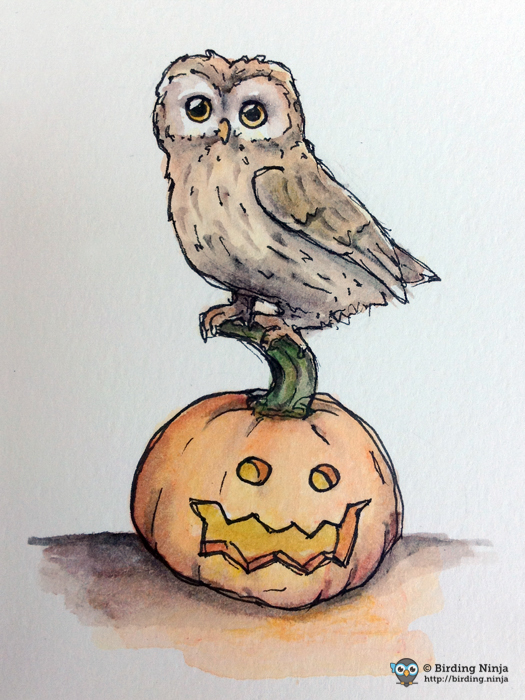 525x700 Owl Birding Ninja