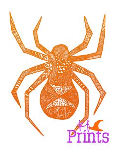 236x305 Colorful Spiders Colorful Spider Drawing