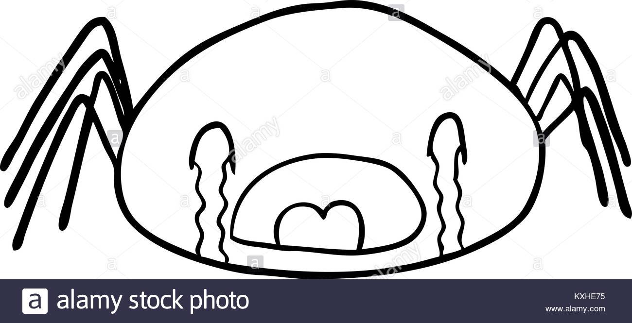 1300x665 Line Drawing Of A Halloween Spider Crying Stock Vector Art