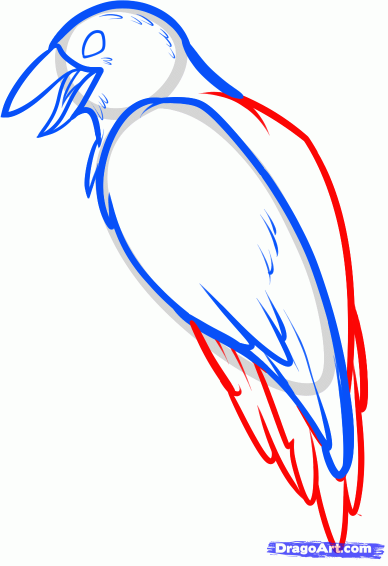 776x1132 Scary Halloween Trees Pictures How Draw Spooky Tree Step