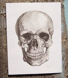 236x268 Two Skulls Aressed Out From The Grave. One, Belonging