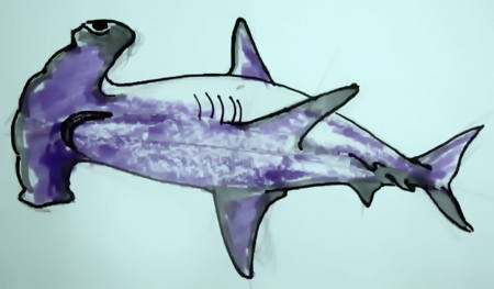 450x263 How To Draw A Hammerhead Shark