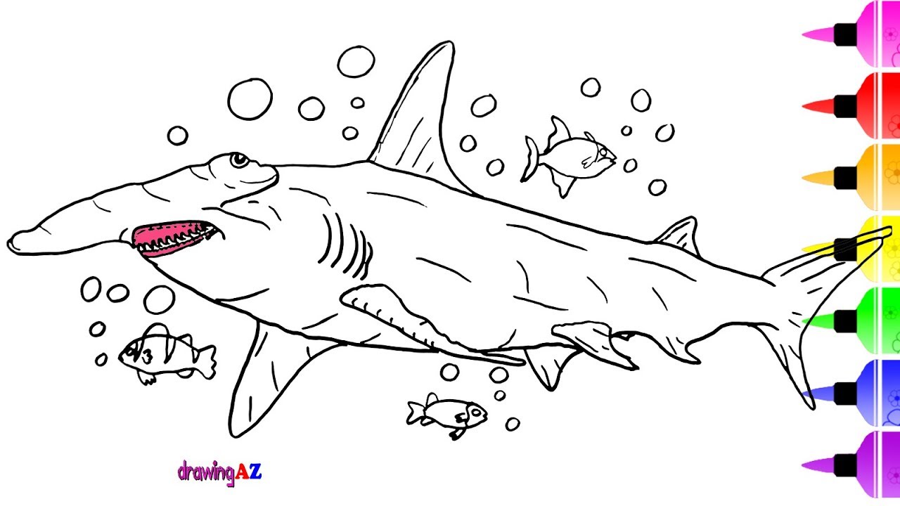 Hammerhead Shark Drawing at Free for