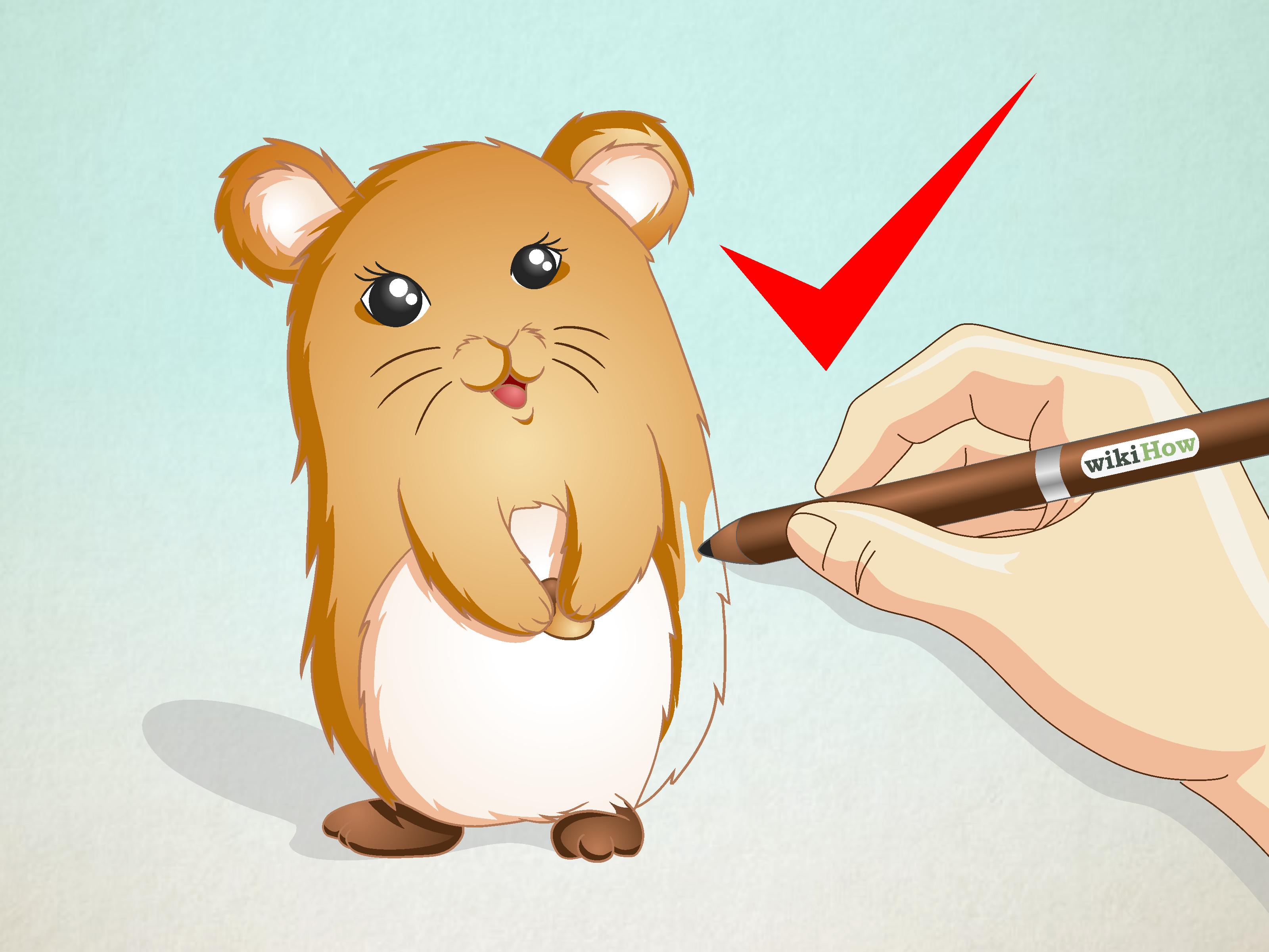 3200x2400 How To Draw A Hamster 15 Steps (With Pictures)