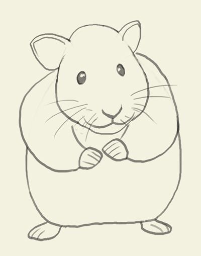 400x509 Hamster How To Draw Hamster Drawings Basic Drawing