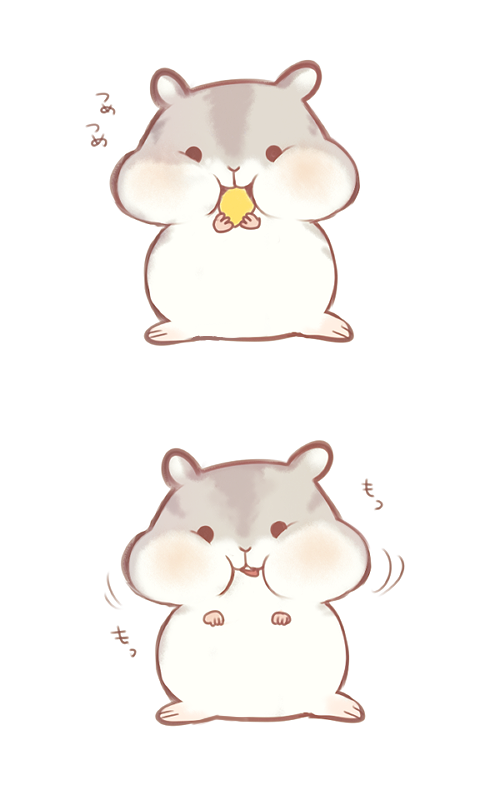 500x785 Hamster