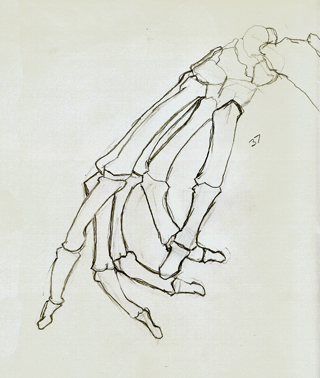 320x378 The Hand Bone Is Connected To Muddyparasol's Blog