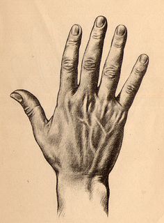 236x320 Hand Drawing Tutorials. Because I Struggle With Hands. Http
