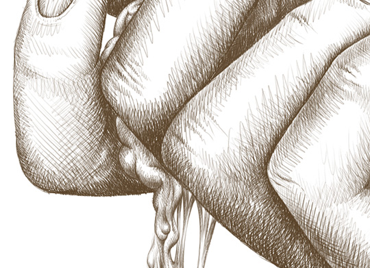540x391 How To Draw A Classic Hand Using A Graphics Tablet