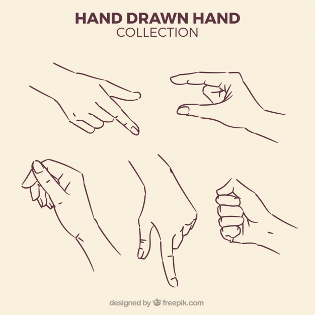 626x626 Hand Drawn Vectors, Photos And Psd Files Free Download