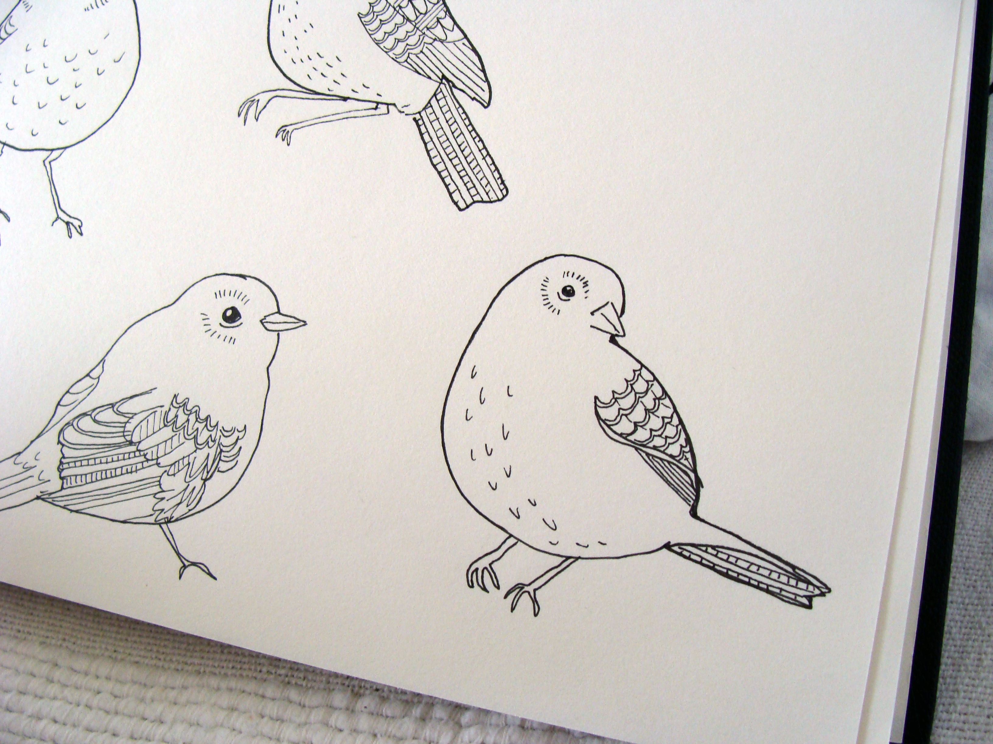 3264x2448 Hand Drawn Ellieedwardsdesign