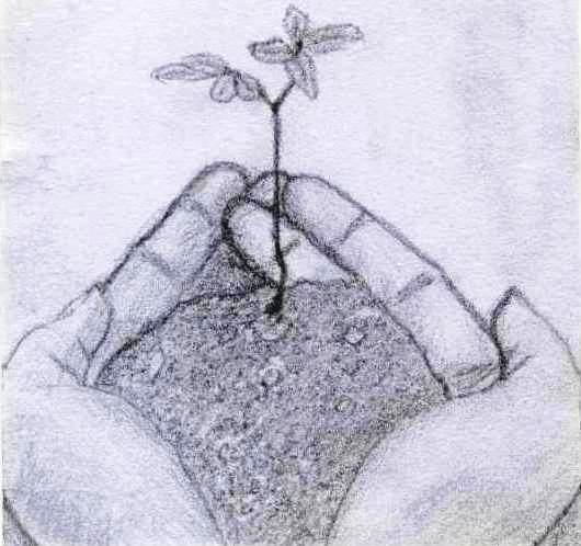 530x498 Earth Holding Hands By Dediggefedde