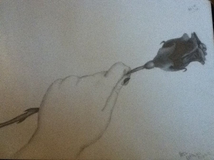 900x675 Hand Holding A Rose By Miss Misery13