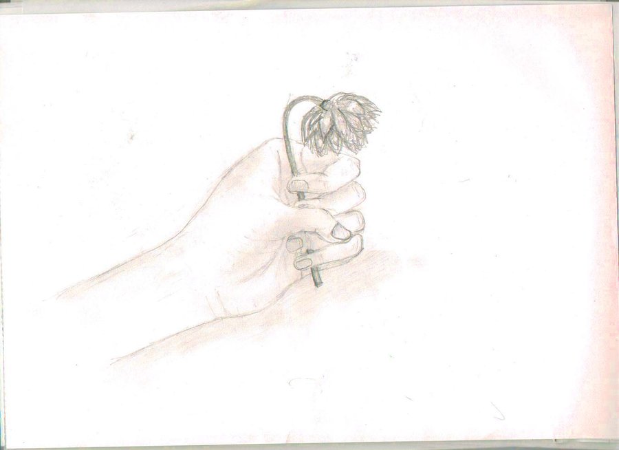 900x654 Hand Holding Dead Flower By Pickledhead